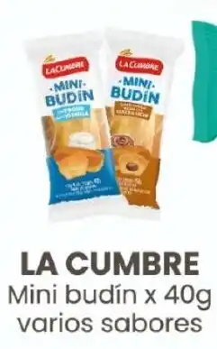 Arcoiris Supermercados La cumbre mini budin varios sabores oferta