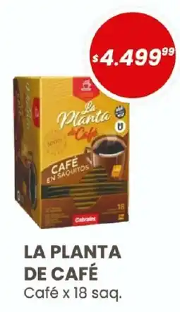 Arcoiris Supermercados La planta de café café oferta