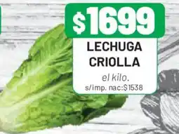 Almacor Lechuga criolla oferta