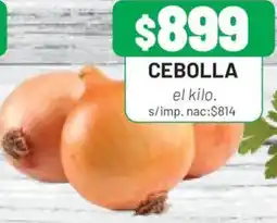 Almacor Cebolla oferta