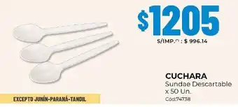 Cuchara sundae descartable
