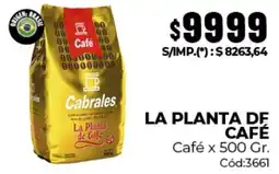 Diarco Cabrales la planta de café oferta