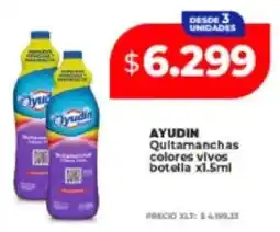 Supermayorista Vital Ayudin quitamanchas colores vivos oferta