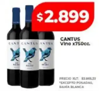 Supermayorista Vital Cantus vino oferta