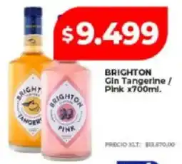 Supermayorista Vital Brighton gin tangerine / pink oferta