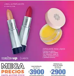 Millanel Cosmética Make up labial ultrafijación oferta