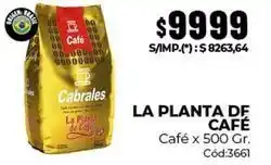 Diarco Cabrales - café oferta