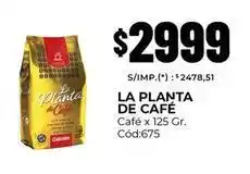 Diarco La planta de café - café x 125 gr. cód:675 oferta