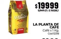 Diarco La planta de café - café x 1 kg. cód:12318 oferta