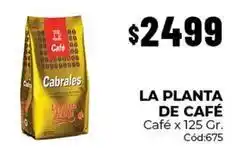 Diarco Cabrales - café x 125 gr. cód:675 oferta