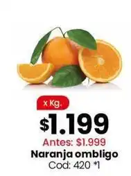 Coto Naranja ombligo cod: 420 *1 oferta