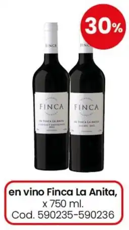 Coto Finca la anita en vino oferta
