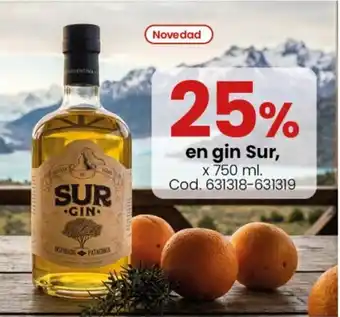 Coto Sur gin oferta