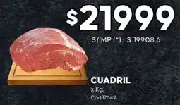 Diarco Cuadril oferta