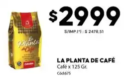 Diarco La planta de café oferta