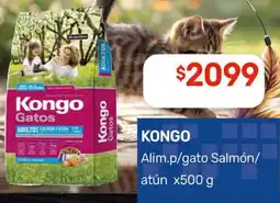 Nini Mayorista Kongo alimento para gato salmón/atún oferta