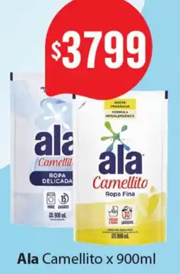 Nini Mayorista Ala camellito oferta