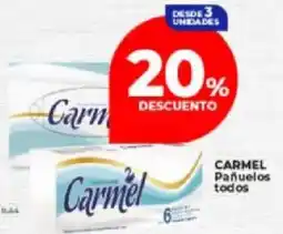 Supermayorista Vital Carmel pañuelos todos oferta