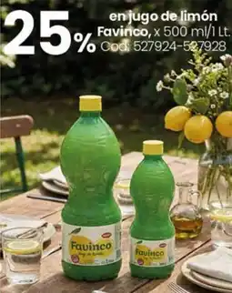Coto Favinco en jugo de limón oferta