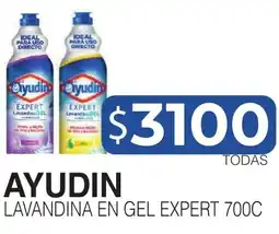 Masivos Ayudin lavandina en gel expert oferta