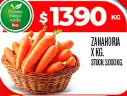 Supermercados DIA Zanahoria oferta