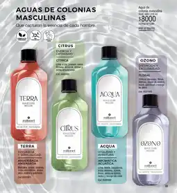 Millanel Cosmética Agua de colonia masculina oferta