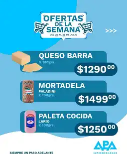 APA Supermercados Paladini mortadela oferta