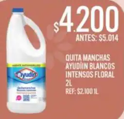 Supermercados Todo Ayudín quita manchas intensos floral oferta