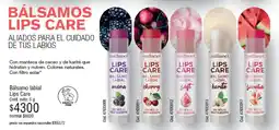 Millanel Cosmética Millanel bálsamo labial lips care oferta