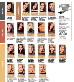 Millanel Cosmética Recipiente + pincel para tintura oferta