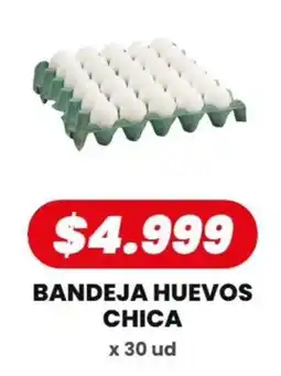 Autoservicio Capo Bandeja huevos chica oferta