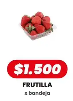 Autoservicio Capo Frutilla oferta