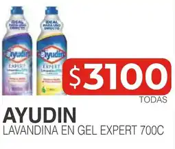 Masivos Ayudin lavandina en gel expert oferta