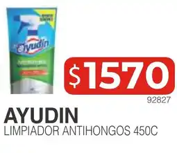 Masivos Ayudin limpiador antihongos oferta