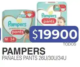 Masivos Pampers pañales pants 26u/30u/34u oferta