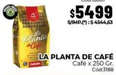Diarco Cabrales - la planta de café café x 250 gr. cód:3188 oferta