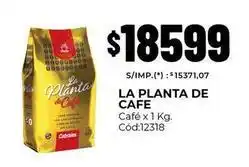 Diarco La planta de café - café x 1 kg. cód:12318 oferta
