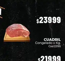 Diarco Cuadril congelado x kg. cód:22195 oferta