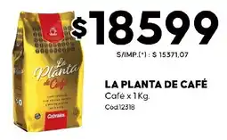 Diarco La planta de café oferta