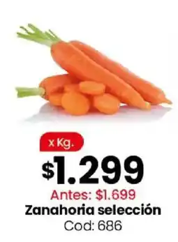 Coto Zanahoria selección oferta