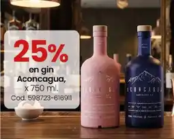 Coto Aconcagua gin oferta