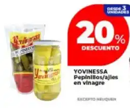 Supermayorista Vital Yovinessa pepinillos/ajles en vinagre oferta