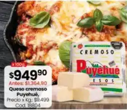 Coto Queso cremoso puyehue oferta