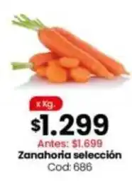 Coto Zanahoria seleccion cod: 686 oferta
