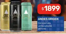 Nini Mayorista Andes origen cerveza lata varios sabores oferta
