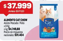 Makro Purina cat chow oferta