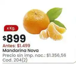 Coto Mandarina Nova oferta