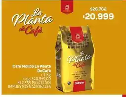 Makro La planta de café - café molido oferta