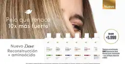 Makro Dove - reconstrucción + aminoácido oferta