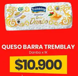 Super Nataly Tremblay queso barra danbo oferta